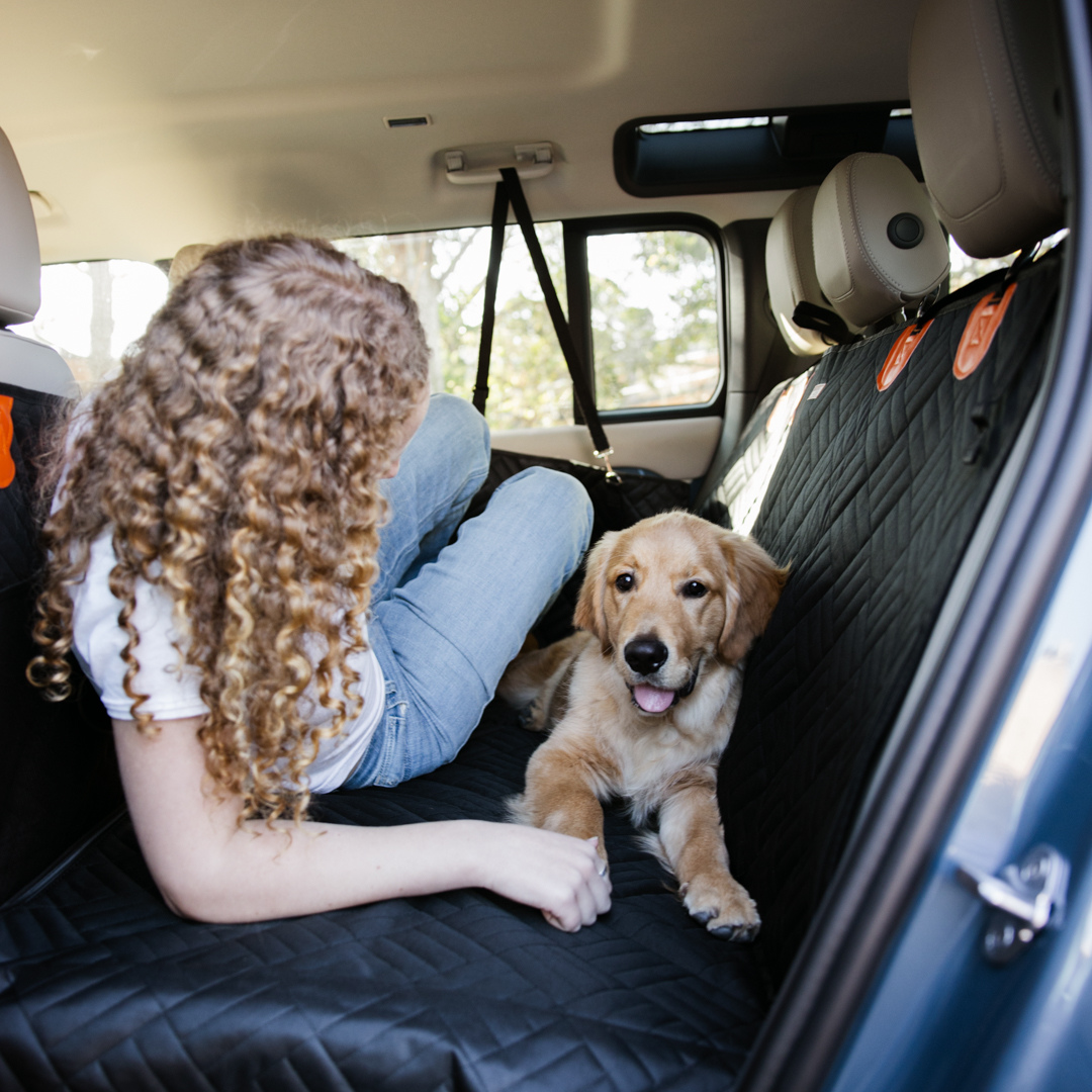 Two dogs on a ChillDrift seat cover in the back of an SUV