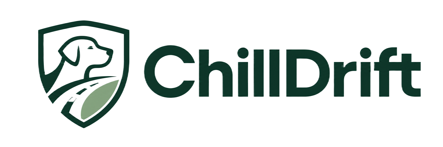 ChillDrift